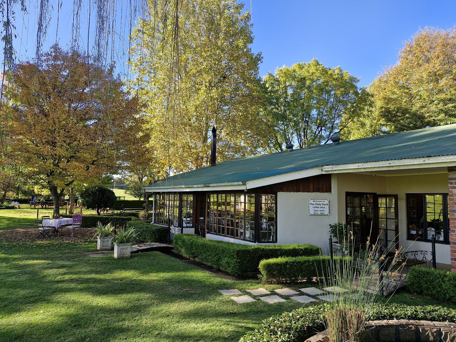 The Olde Duck
