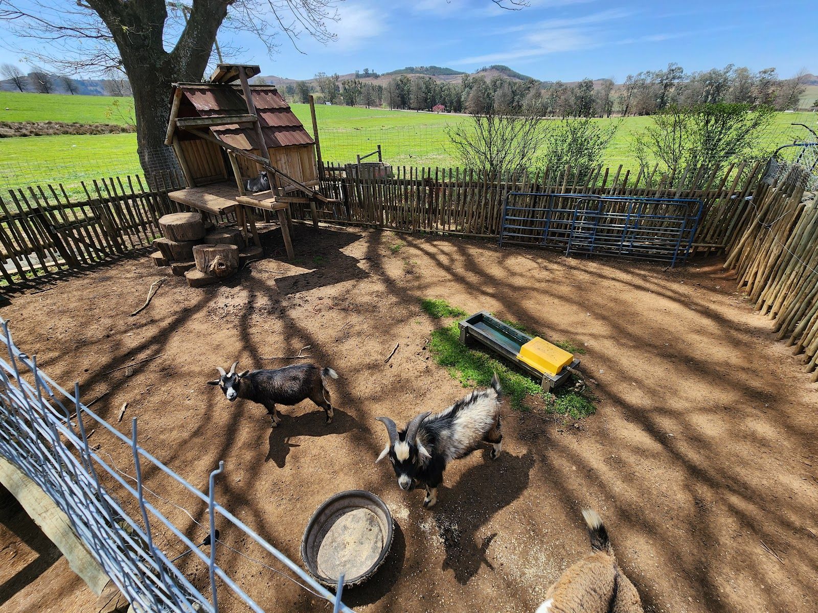 Play area
